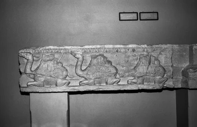 Kamelrelief (Stein)