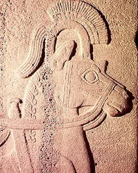 Detail eines Pferdekopfes