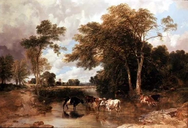 Bewaldete Flusslandschaft