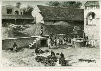 Im Inneren der Faktorei Maurel und Prom, in Boulam, Erdnüsse, Palmkerne und Gummi verarbeitend. Gravur von Taylor, nach einer Fotografie, zur Illustration der Geschichte Voyage dans la Sénégambie et la Guinée portugaise, 1888, von Kapitän A. Brosselard