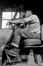 Holzeinschlag durch Georgia-Pacific Corp. in den Baumfarmen von Oregon