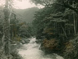 Herbstwald in der Yamanaka-Region, um 1900 - 1915