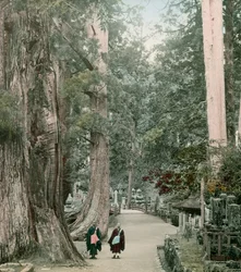 Okuno-In Friedhof auf dem Berg Koya in Yamamoto, um 1900 - 1915