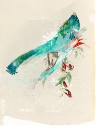 Vogelsilhouette