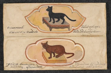 Siamkatzen, Fol. 1: zwei Glückskatzen zur Unterstützung von Geschäft und Wohlstand, Or. 16797, f.1