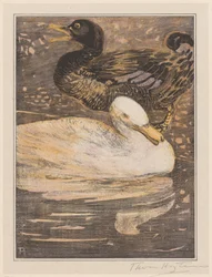 Zwei Enten