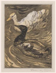 Zwei schwimmende Enten