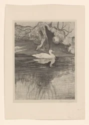 Teich mit Ente