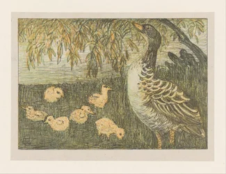 Gans mit Küken