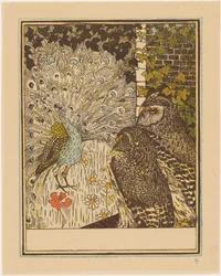 Prunkender Pfau und zwei Eulen
