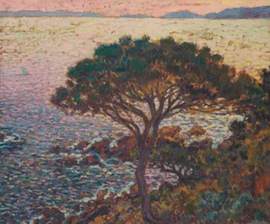 Cap Bénat, Kiefer an der Küste