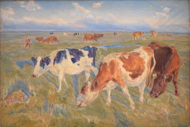 Weidende Kühe auf der Insel Saltholm