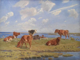 Kälber am Strand