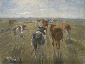 Lange Schatten. Rinder auf der Insel Saltholm