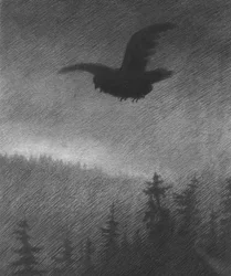 Der Schwarze Tod