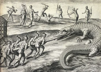 Nackte Indianer bei der Jagd auf Alligatoren in Florida, USA