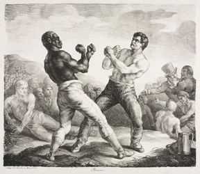 Boxer