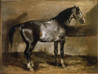 Graues Pferd am Ratelier