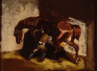 Mann, der ein Pferd pflegt