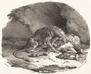 Von einem Löwen verschlungenes Pferd (Cheval dévoré par un lion)