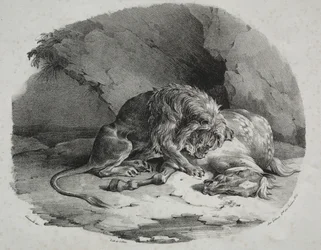 Pferd von einem Löwen verschlungen, 1823