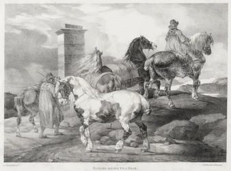 Pferde auf dem Weg zu einem Jahrmarkt