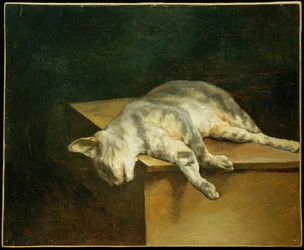 Die tote Katze