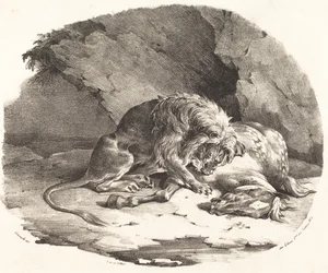 Löwe, der ein Pferd verschlingt