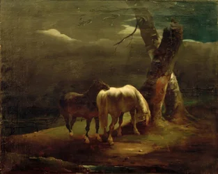 Pferde auf der Weide
