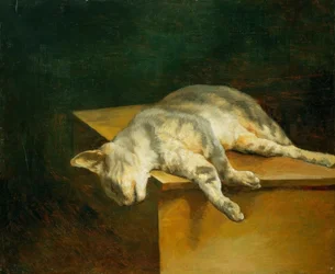 Tote Katze