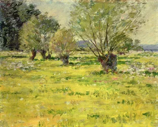 Frühling
