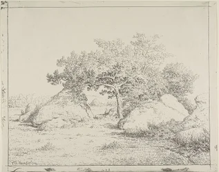 Kirschbaum bei Plante à Biau