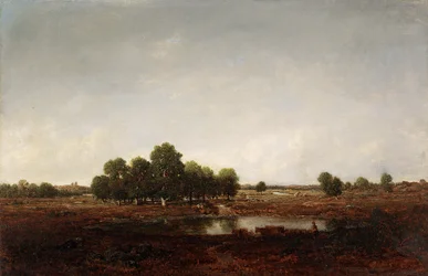 Landschaft mit Sumpf