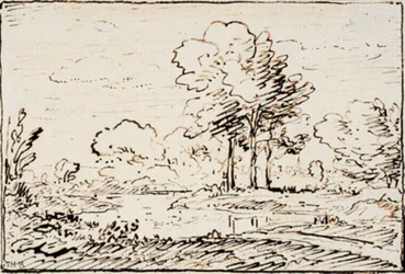Landschaft mit drei hohen Bäumen an einer Flussbiegung