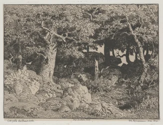 Eichen und Felsen