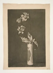 Proof for La Chine (Schwarz-Weiß-Version)