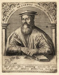 Conrad Gessner, Schweizer Arzt