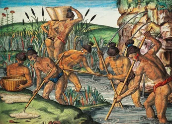 Goldgräber in Florida, Farbstich von Theodor de Bry (1528-1598) nach einem Gemälde von Jacques le Moyne de Morgues (ca. 1533-vor 1588), aus Brevis Narratio