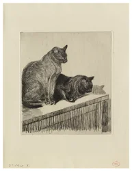 Zwei Katzen auf einem Möbelstück