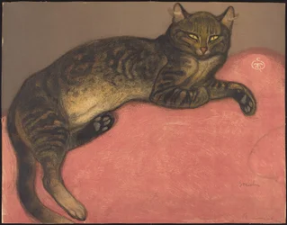 Winter: Katze auf einem Kissen
