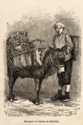 Ein Kohlenhändler mit seinem Esel in Djewilisk (Nordanatolien), graviert nach einer Zeichnung des Erzählers, zur Illustration einer Reise in Lazistan und Armenien, 1869, von Theophile Deyrolle, veröffentlicht in „Le tour du monde“ 1875, herausgegeben von E