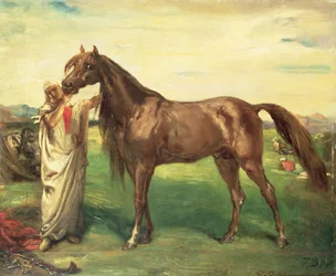 Hadji, ein arabischer Hengst, 1853