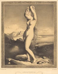 Venus Anadyomene