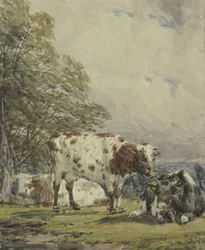 Studie von Rindern, 19. Jahrhundert