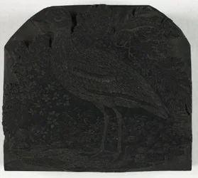 Holzschnitt für Der große Regenpfeifer, aus Eine Geschichte der britischen Vögel