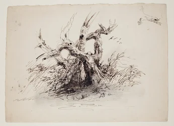 Knotige Baumstämme, um 1826