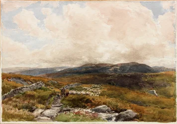 Moorlandschaft