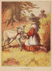 Das Lamm
