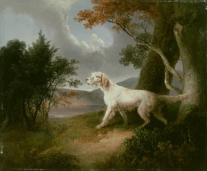 Landschaft mit Hund