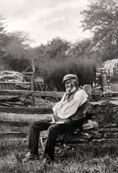 Der Holzfäller, 1901